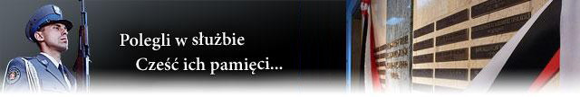 O Policji