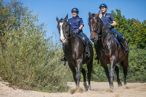 dwie policjantki jadące na koniach służbowych po piasku