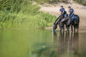 dwie policjantki siedzące na koniach służbowych nad zbiornikiem wodnym, konie piją wodę