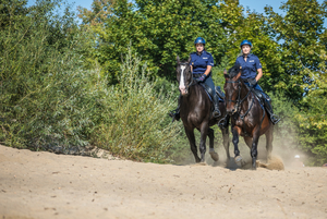 dwie policjantki jadące na koniach służbowych po piasku, w tle widać zarośla i drzewa