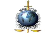 Virtual meeting of the Commander-in-Chief of Police and the Secretary General of Interpol